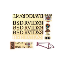 Набір наклейок raider frame купити в Україні на BSD BMX